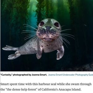 Meet your Posher, Ruth